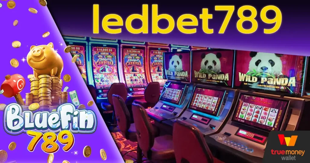 ledbet789